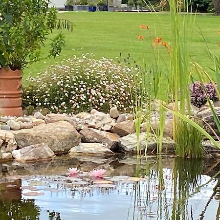 Rathjarney Gatelodge Wexford Ngoại thất bức ảnh